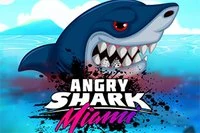 Enjoy another incredible version of the legendary Angry Shark!