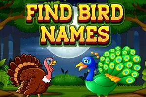 野生の背景にいる七面鳥とクジャクのイラストと「FIND BIRD NAMES」のテキストが描かれた画像。