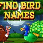 野生の背景にいる七面鳥とクジャクのイラストと「FIND BIRD NAMES」のテキストが描かれた画像。