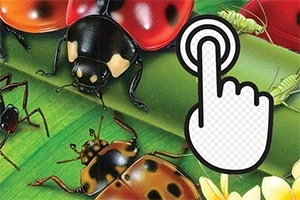 テントウムシやその他の昆虫が描かれた緑の背景に、クリックを示す指のアイコンが重なっているイラスト。