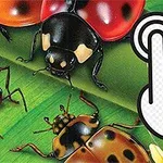 テントウムシやその他の昆虫が描かれた緑の背景に、クリックを示す指のアイコンが重なっているイラスト。
