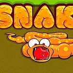 Play this coloured version of the classic game Snake!
