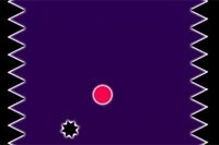 Avoid anything Black