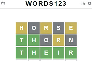 単語 HORSE, THORN, THEIR が異なる色の背景で表示されているグリッド。